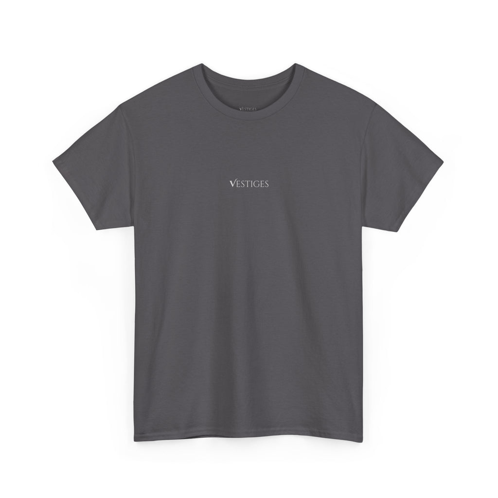 DOMINUS T-SHIRT - GRIS