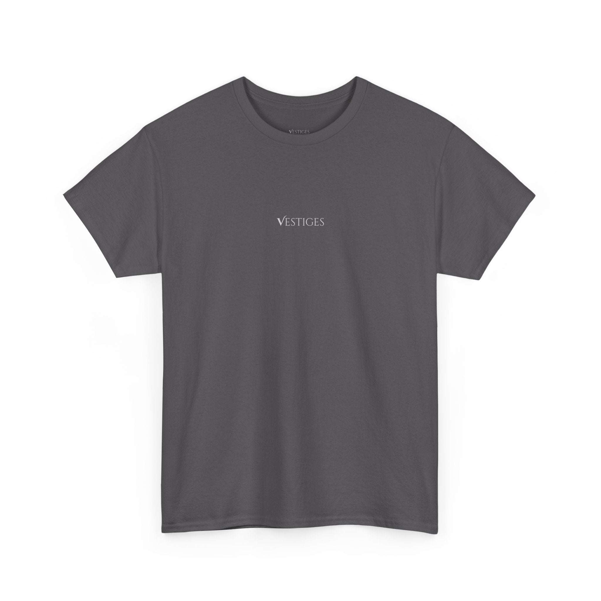DOMINUS T-SHIRT - GRIS