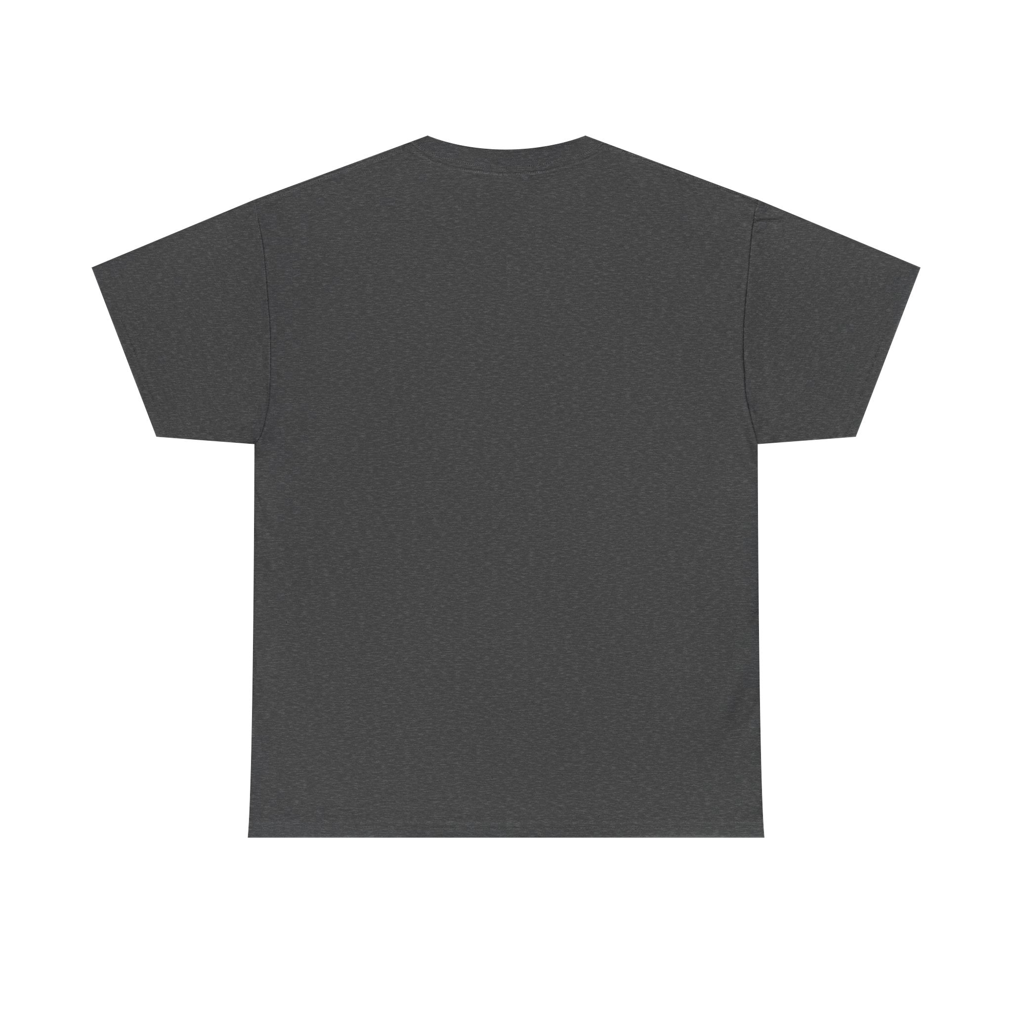 VESTIGES T-SHIRT - GRIS